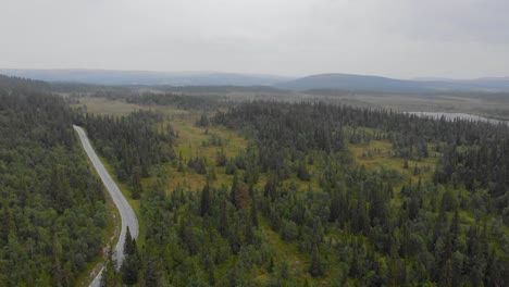 Lush-Green-Nature-Landscape-With-Country-Road-In-Jamtland,-Sweden