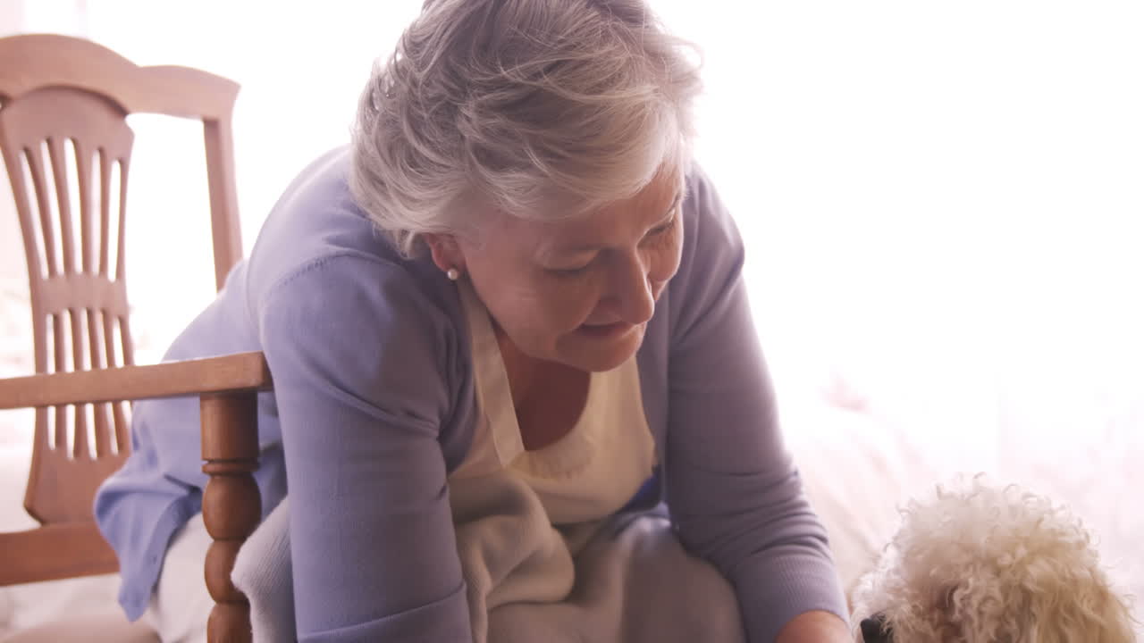 고령 여성 이 개 를 만지고 있다