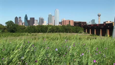 long shot of the dallas texas city skyline