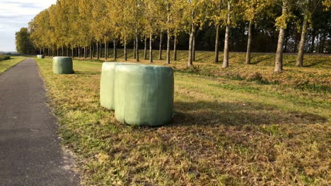 Hierba-Cortada-Empacada-En-Bolsas-De-Plástico-A-Lo-Largo-De-La-Carretera