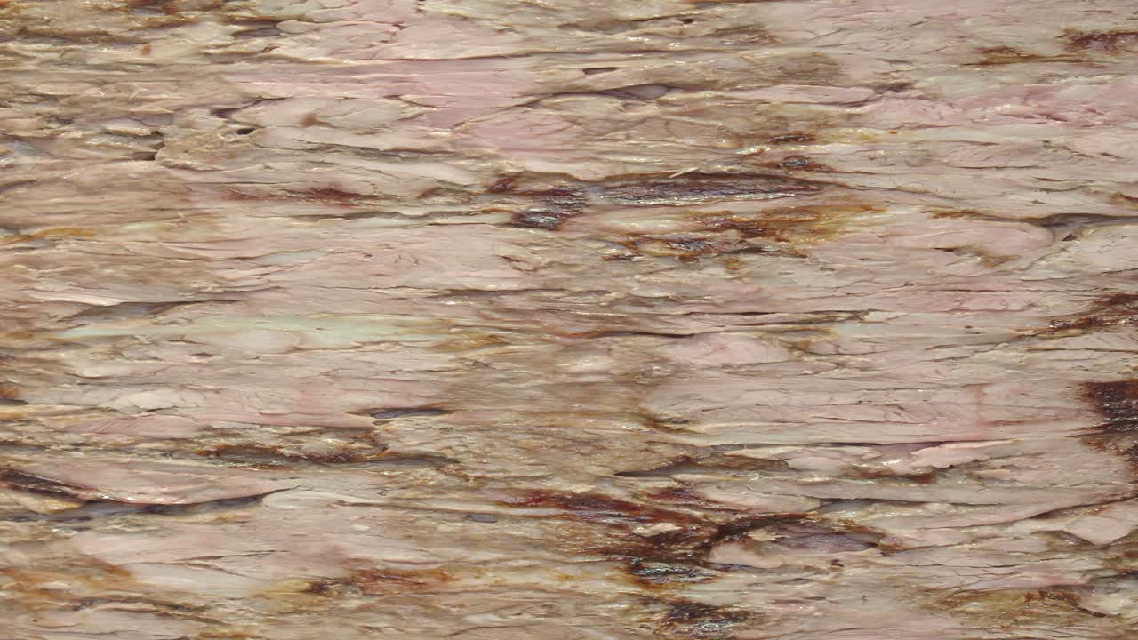 개진 샤워마 고기의 클로즈업