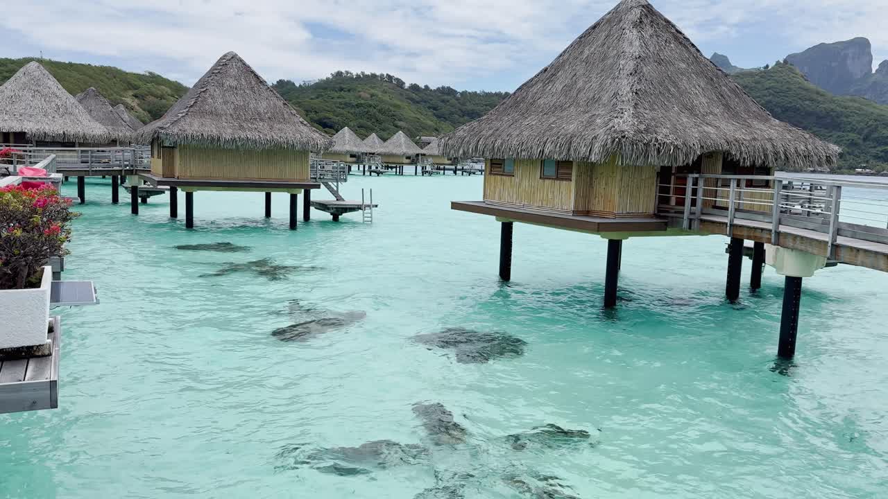 Summer Bora Bora Vacation Resort in French Polynesia with turquoise and aquamarine shallow lagoon clear water