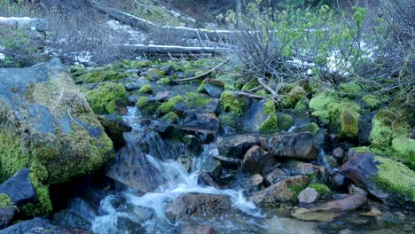 Recorriendo-Lentamente-Un-Hermoso-Manantial-De-Montaje-En-Una-Fría-Mañana-De-Otoño