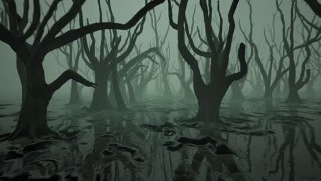 eerie swamp scene with twisted trees in fog, captured from a low-angle, creating a haunting