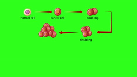 step-by-step animation showing normal cell mutation, cancer cell formation, and exponential malignant cell proliferation on a green background with labeled arrows