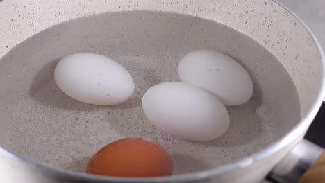 hirviendo huevos en una olla