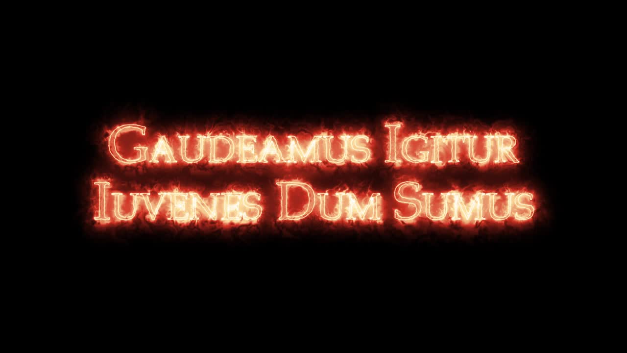 이게아무스 이기투르 이우베네스 덤 소스 (gaudeamus igitur iuvenes dum sumus) 는 불로 쓰여진 루프이다.