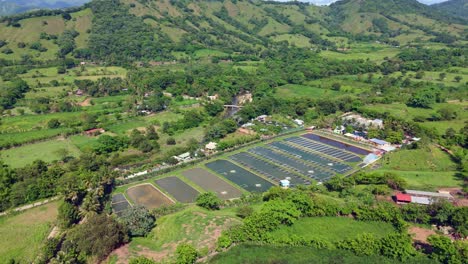 series of rectangular aquaculture pond for fish farming, nestled in vibrant green valley with hills. aerial drone orbiting