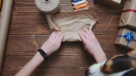 person wrapping bone for dog