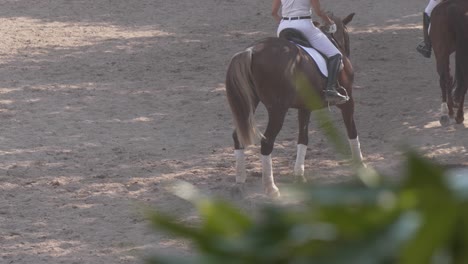 horsemen riding horses in dressage practice in equestrian club