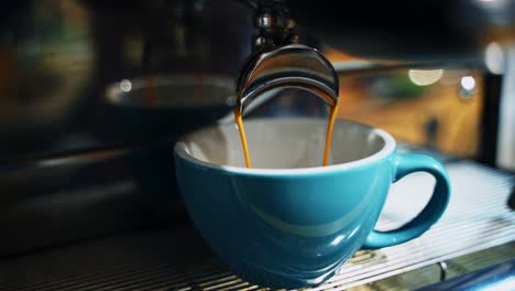 barista makes coffee in cafe. barista preparing cup of coffee for client in cafe