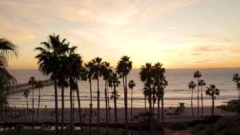 Palmeras-Y-Gente-En-La-Playa-En-La-Ciudad-Costera-De-San-Clemente-En-El-Condado-De-Orange,-California-A-La-Hora-Dorada-Del-Atardecer