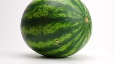 perfect green ripe watermelon spinning in a circle on white backdrop in slow motion