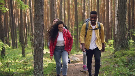 amigos haciendo senderismo en un bosque.