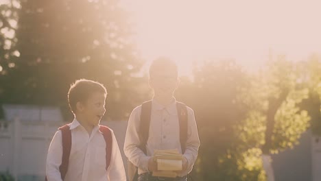 young happy schoolboys in school uniform walk along road