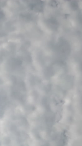 stratus clouds spreading all over the sky. rainy cloudscape formation in the atmosphere. low angle view. timelapse. vertical video