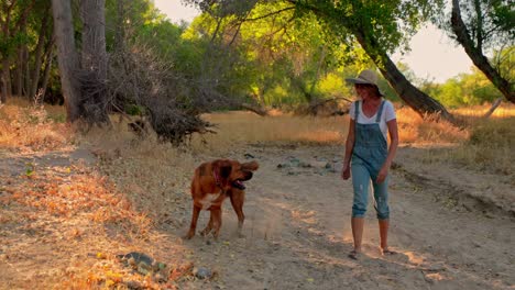 fuerte amistad entre la mujer caucásica y el perro grande, caminando en el bosque del atardecer