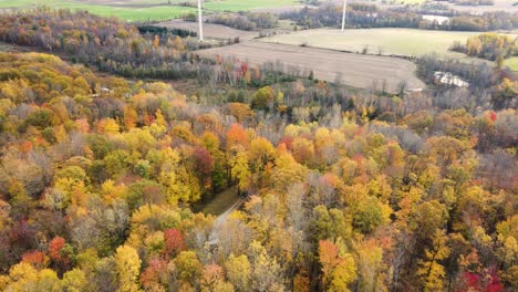 Herbstfarben