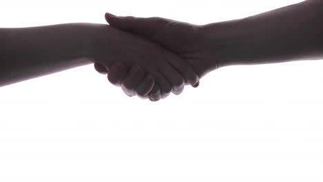 Man And Woman Shaking Hands - Make And Close Deal - Studio Shot