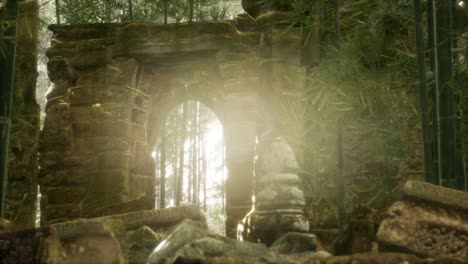 the ruins of ancient buildings in green bamboo forest