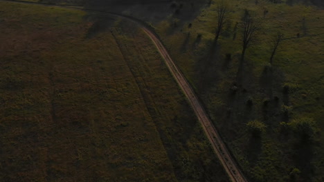 Aerial-Establishing-Shot-Of-A-Dirt-Load-Leading-Through-Misty-Forest