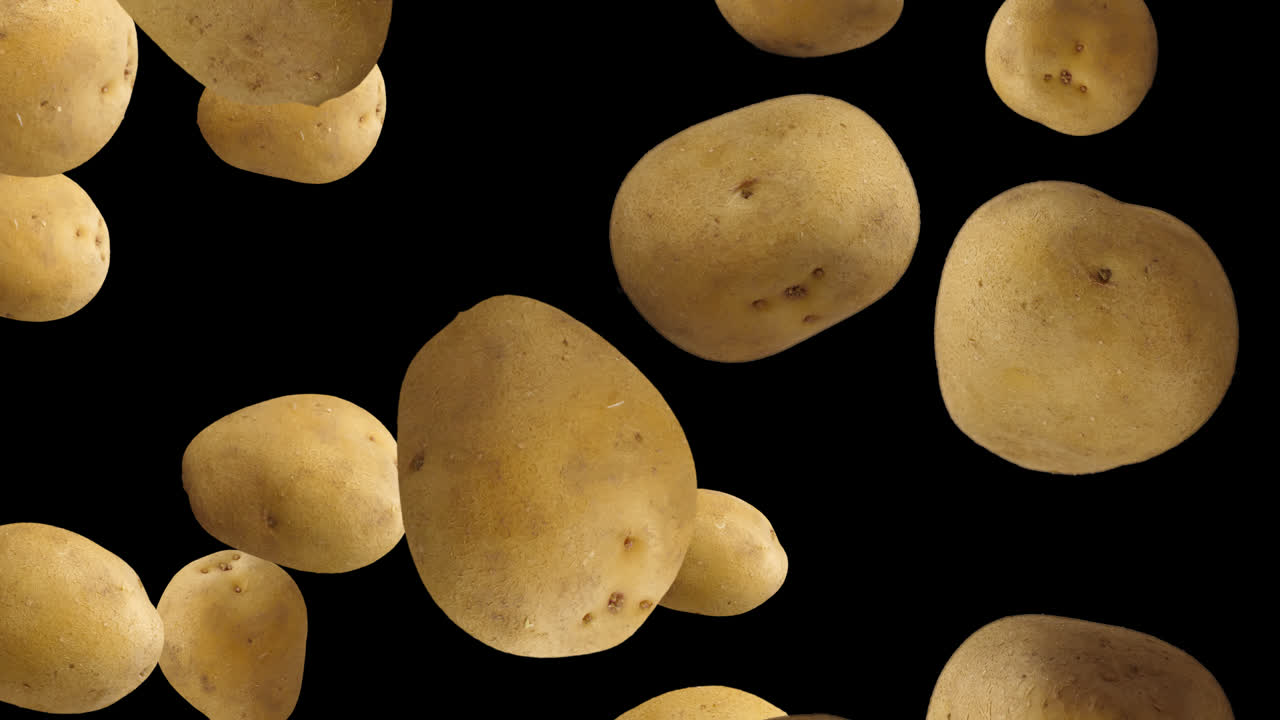 Potato Falling Down With Alpha Channel