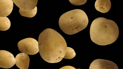 potato falling down with alpha channel