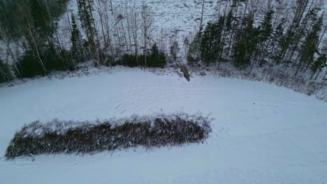 Campos-Nevados-Con-árboles-Caídos-Apilados-En-Un-Montón