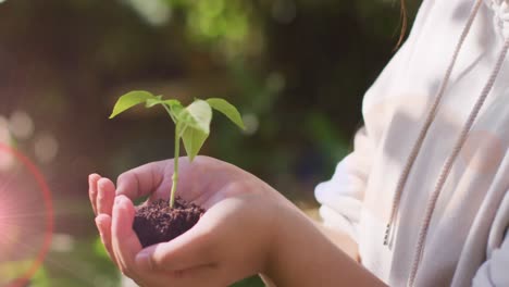 punto de luz contra el primer plano de una mujer con las manos sujetando muestras de plantas en el jardín