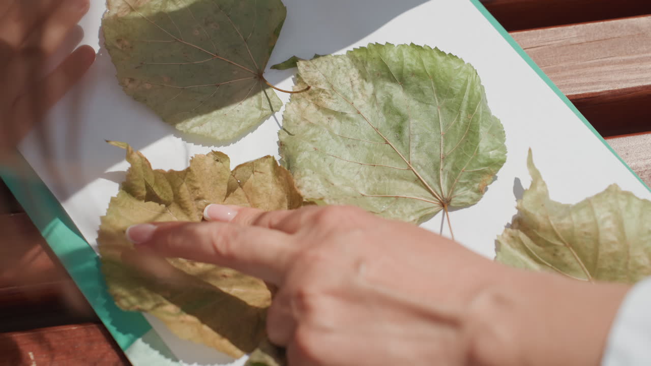Manualidad con hojas al aire libre. Madre e hija presionando hojas sobre papel blanco usando una barra de pegamento, suavizando los bordes con manos suaves. La luz del sol y las sombras en el banco crean un ambiente acogedor de otoño. Un primer plano de la actividad táctil.