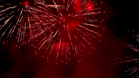 disparo en cámara lenta de fuegos artificiales en el cielo nocturno