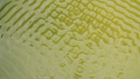 agua de color amarillo que forma formas extrañas bajo la influencia de las frecuencias de sonido