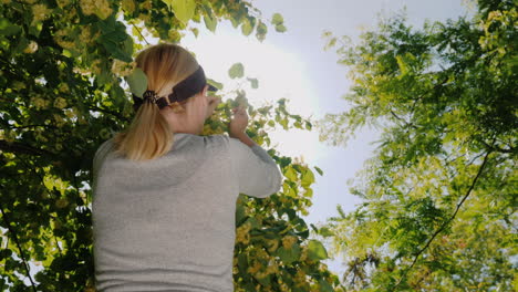una mujer joven recoge flores de las ramas de su cara - una colección de plantas útiles y medicinales