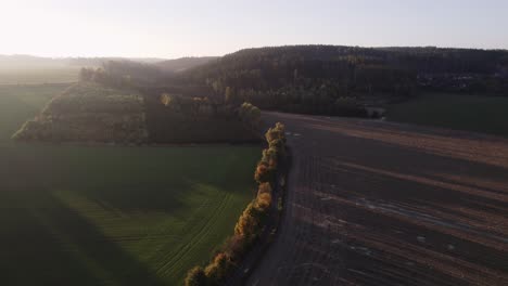 A-drone-flies-over-an-alley-of-trees,-a-forest-nursery-and-fields-to-the-sunset-on-an-autumn-evening