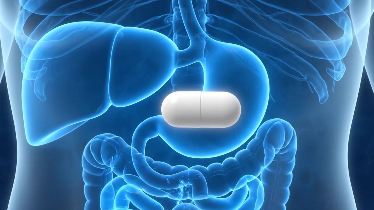 Human torso scan highlighting the stomach with a digital capsule endoscope