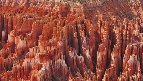 Dicht-Gedrängte-Orangefarbene-Hoodoos-Und-Kunstvolle-Türme-Im-Bryce-Canyon-Nationalpark,-Utah