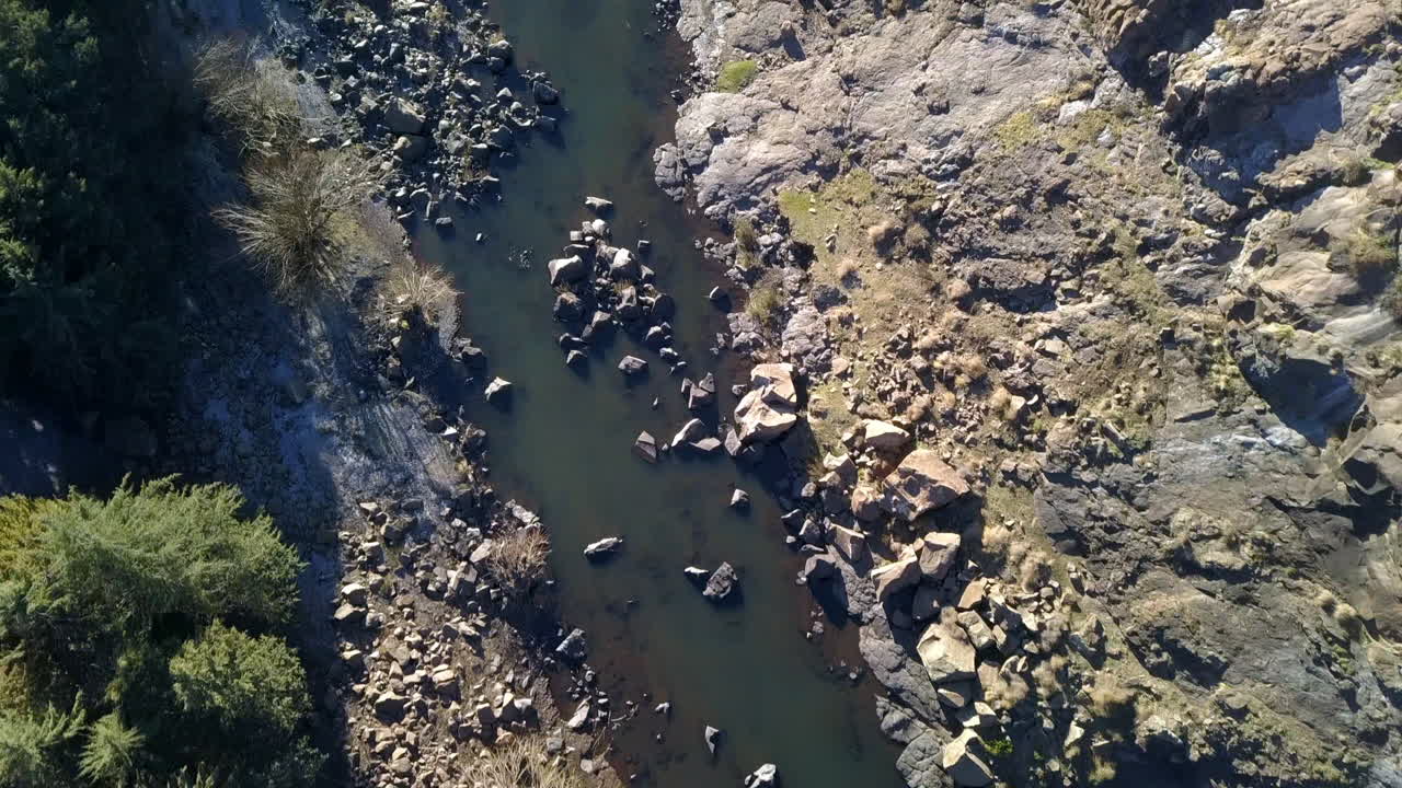 The river has a life of it's own