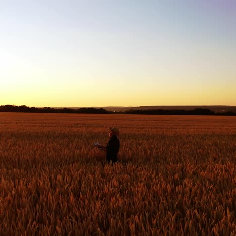 farmer on field in the countryside at sunset. male agronomist inspecting ripe agricultural land and writing the results into folder. camera moves around.