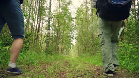 three travelers with backpacks go to deciduous forest. group of young friends travel