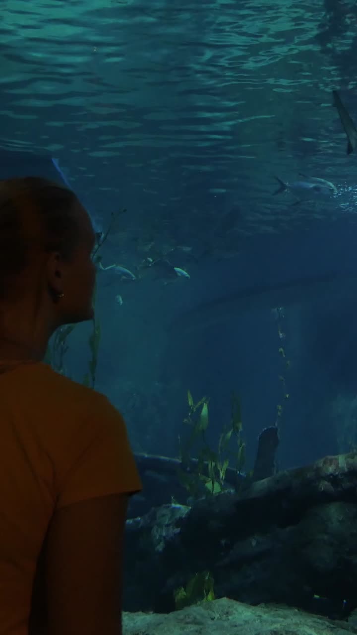 Donna che osserva squali e pesci in un grande acquario