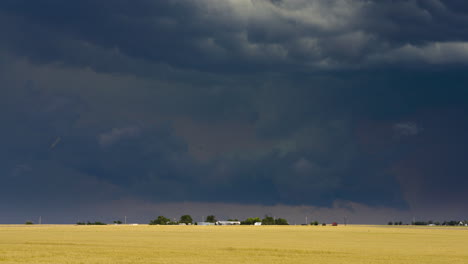 stormy weather over a wheat field