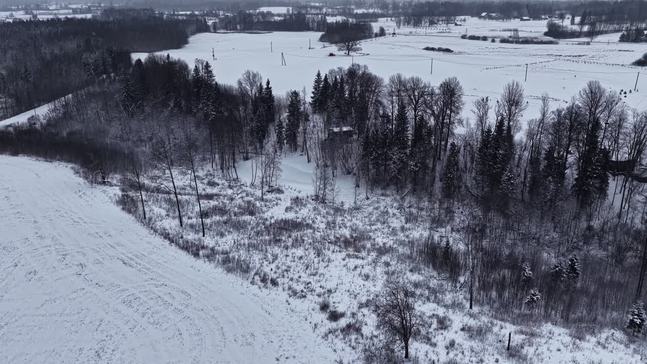 Ripresa aerea di un bellissimo paesaggio invernale che mostra alberi sempreverdi scuri su prati innevati nella campagna lettone durante una fredda giornata stagionale