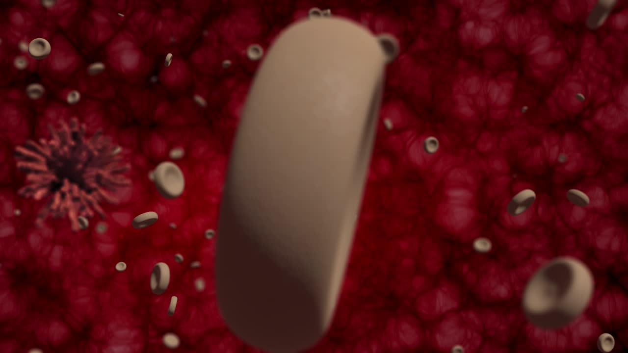 혈액 세포와 병원체의 상호 작용