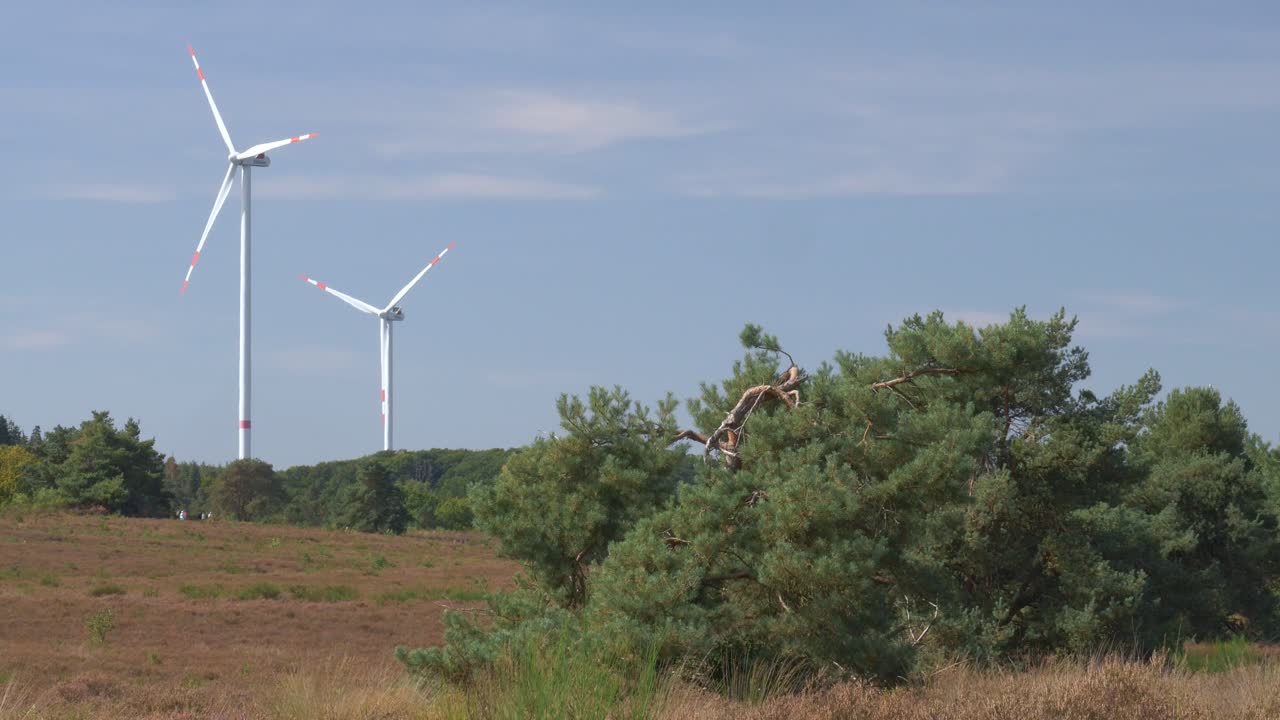 Turbine eoliche che si ergono sopra il paesaggio di Mehlinger Heath in Germania in una limpida giornata estiva