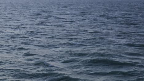 fascinating view of mild sea waves - wide shot