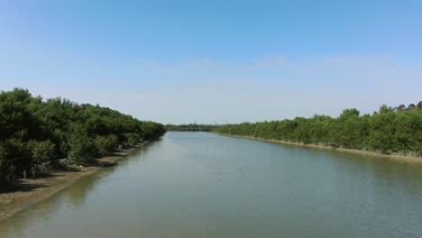 Mai-Po-Nature-Reserve-and-wetlands,-Hong-Kong,-Aerial-view