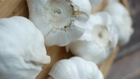 close-up of white garlic heads