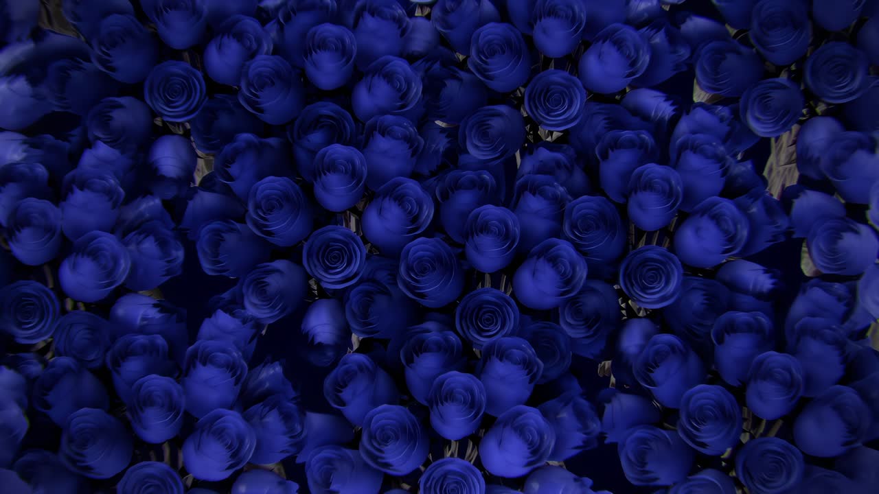 파란 장미 배경