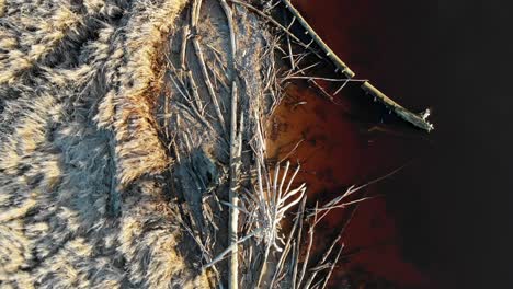 Flying-Over-Driftwood-Washed-Up-On-Muddy-Riverbank,-Tracking-Aerial