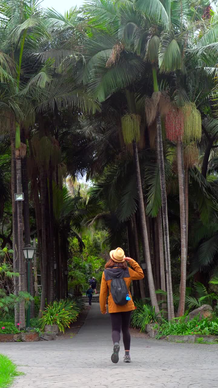 Seorang wanita berjalan melewati jalan yang dipenuhi pohon palem